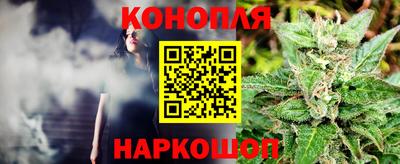 прущие грибы Кингисепп