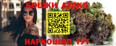 прущие грибы Кингисепп