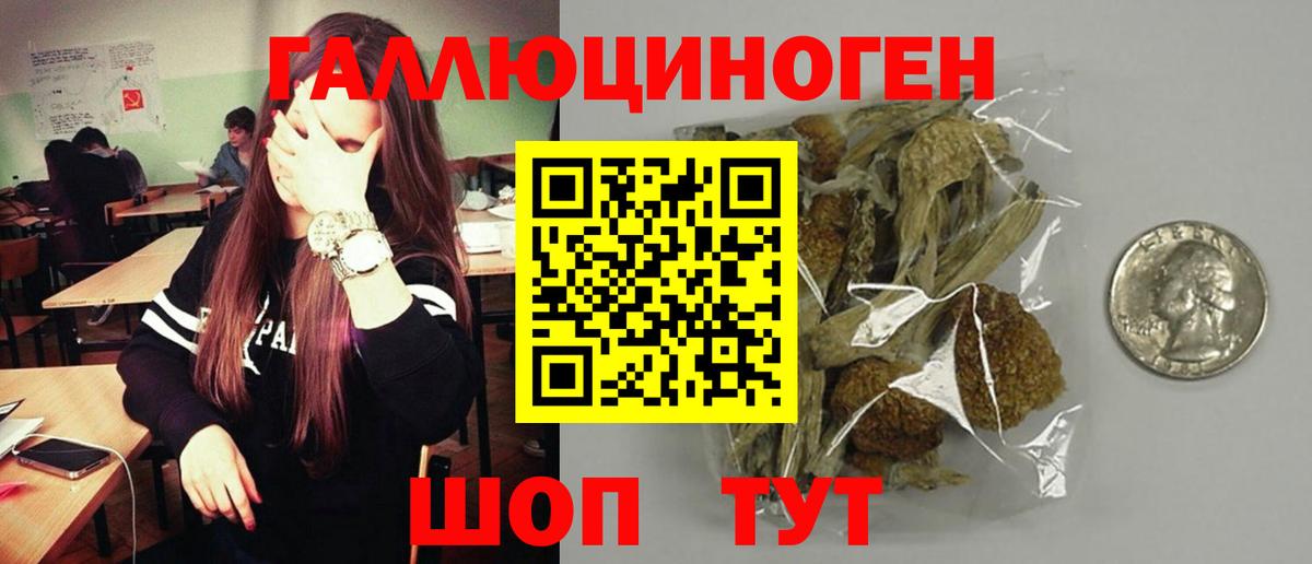 Карачаевск  Псилоцибиновые грибы GOLDEN TEACHER  Вход с VPN 